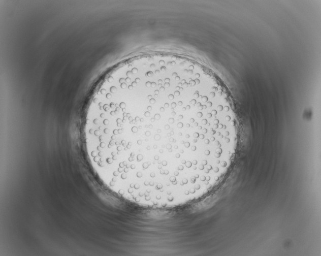 X0000116431499201001191500