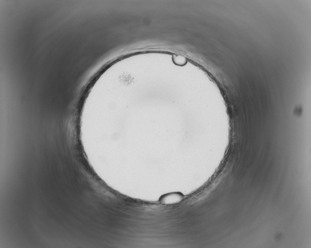 X0000116431502201001191500