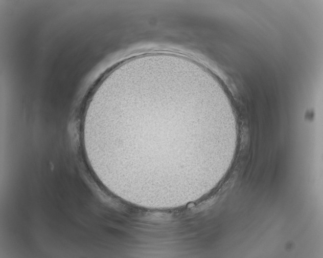 X0000116431503201001191500