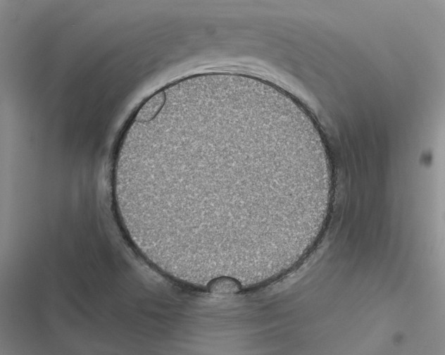 X0000116431506201001191500