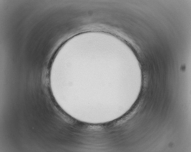 X0000116431509201001191500
