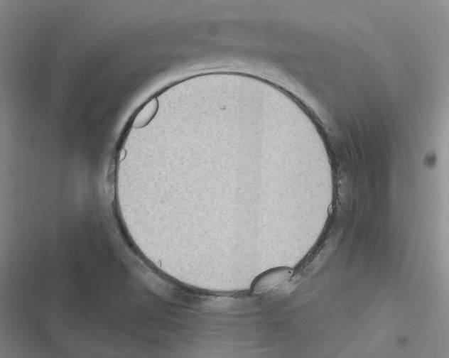 X0000116431510201001191500