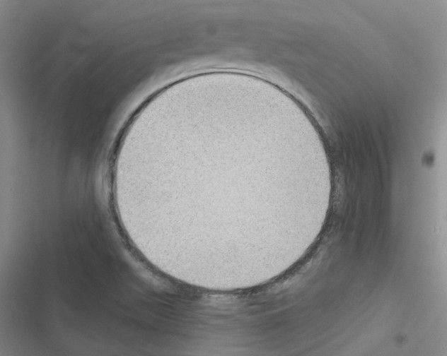 X0000116431511201001191500