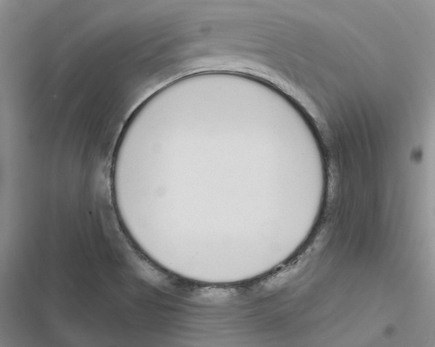 X0000116431513201001191500