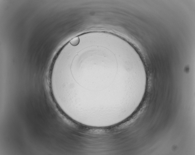 X0000116431517201001191500