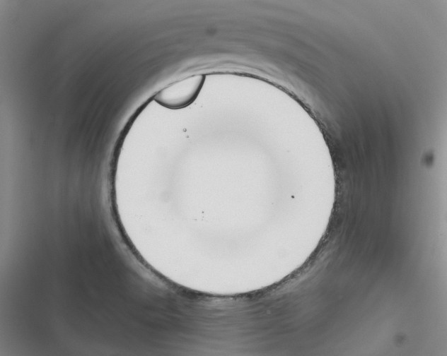 X0000116431518201001191500