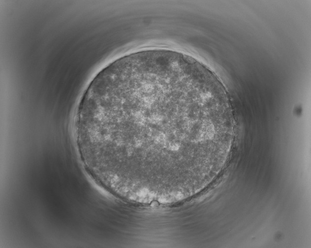 X0000116431519201001191500