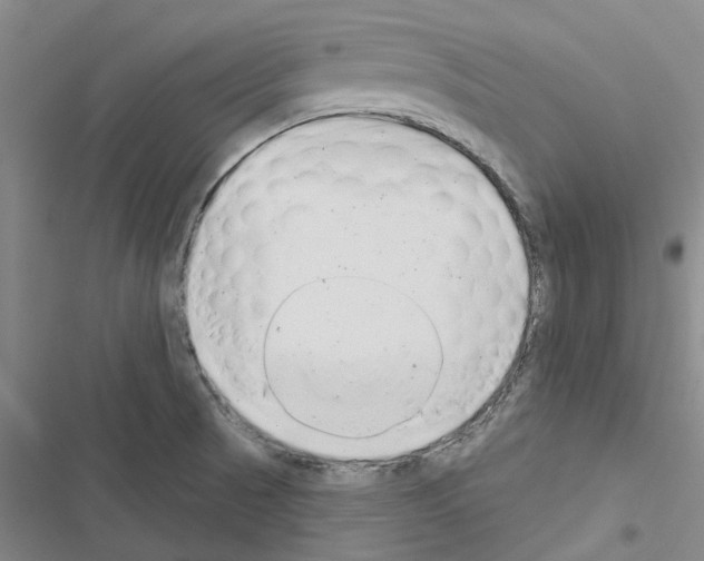 X0000116431521201001191500