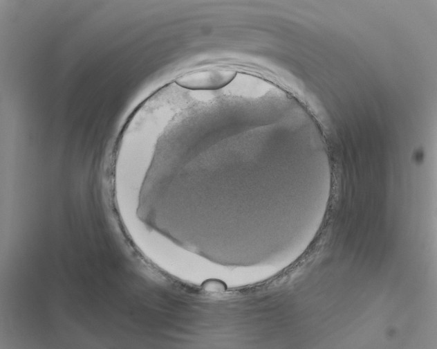 X0000116431522201001191500