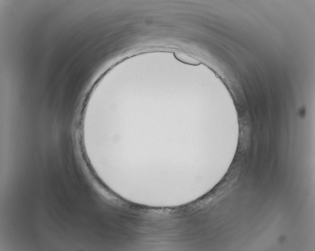 X0000116431523201001191500