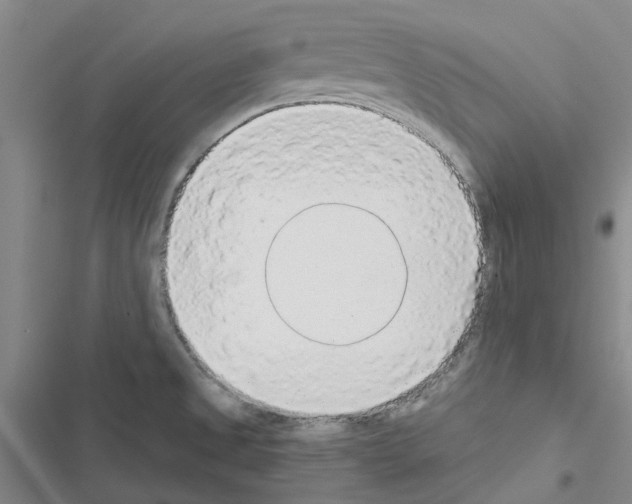 X0000116431525201001191500