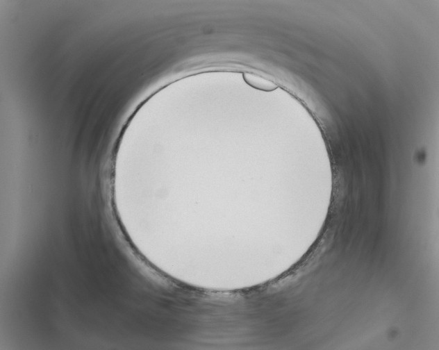 X0000116431526201001191500