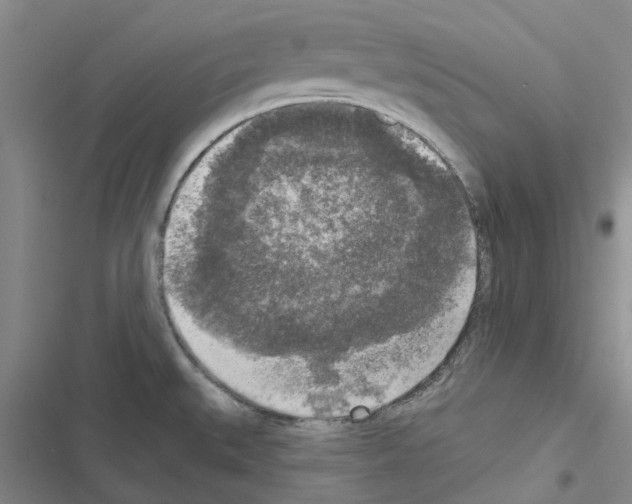 X0000116431527201001191500