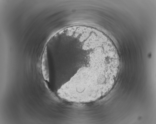 X0000116431529201001191500