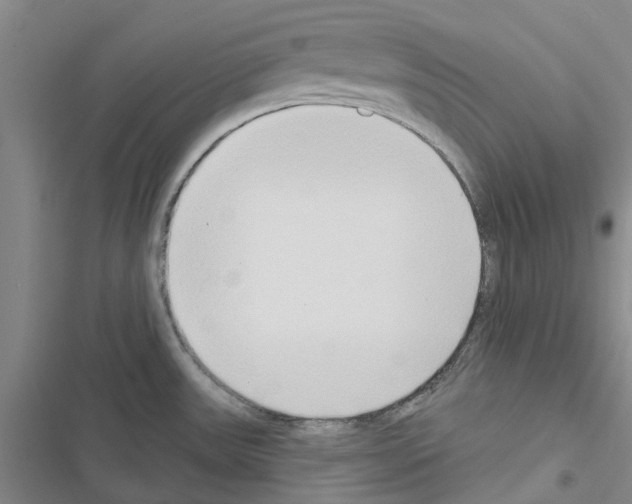 X0000116431531201001191500