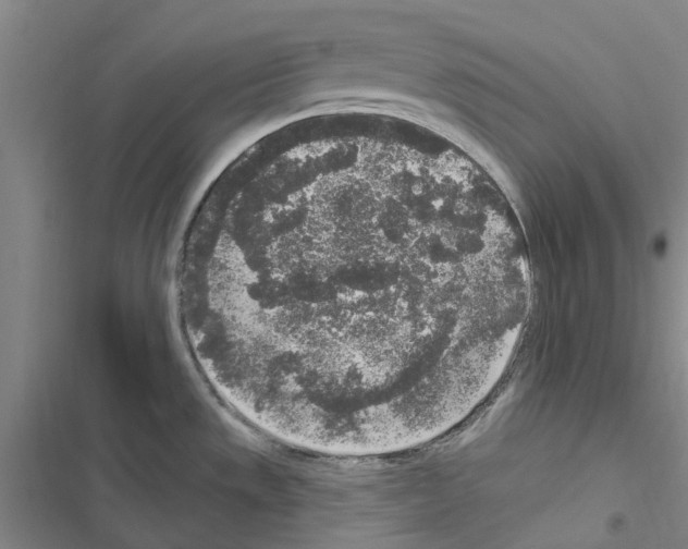 X0000116431533201001191500