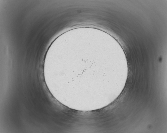 X0000116431534201001191500