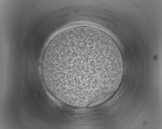 X0000116431535201001191500