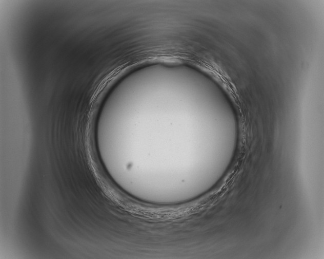 X0000116440001200912081402