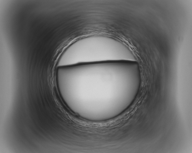 X0000116440002200912081402