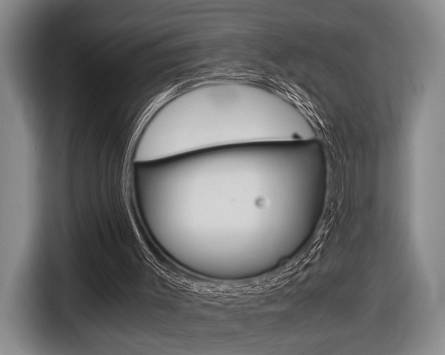X0000116440003200912081402