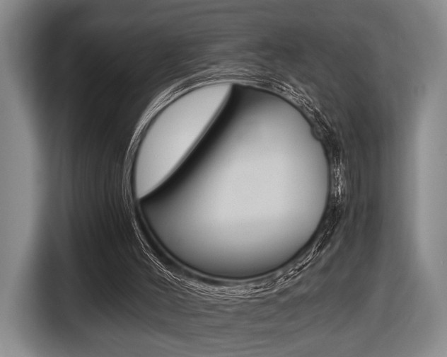 X0000116440004200912081402