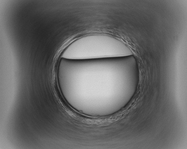 X0000116440005200912081402