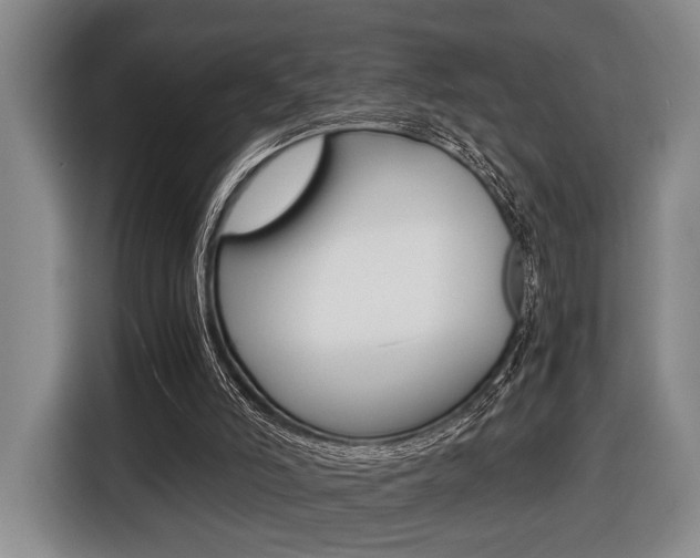 X0000116440006200912081402