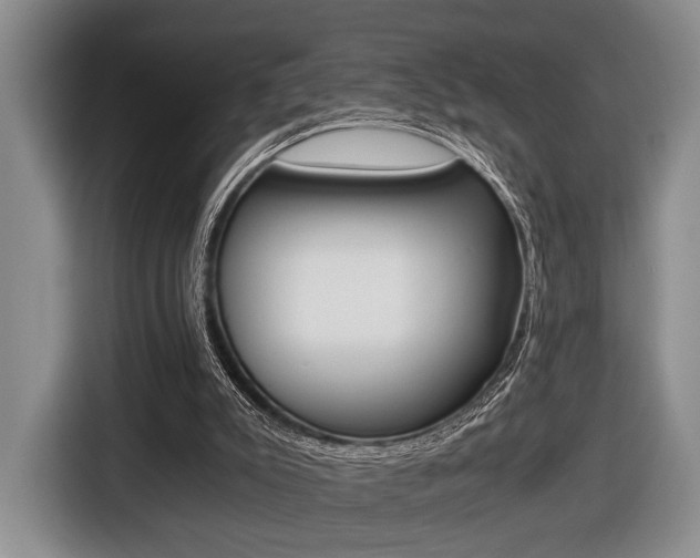 X0000116440007200912081402