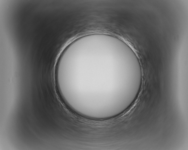 X0000116440008200912081402