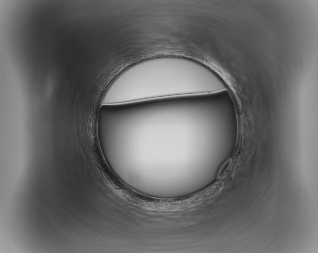 X0000116440009200912081402