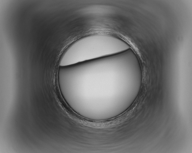 X0000116440010200912081402