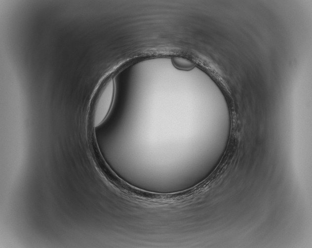 X0000116440012200912081402