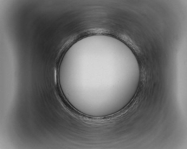 X0000116440014200912081402