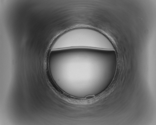 X0000116440015200912081402