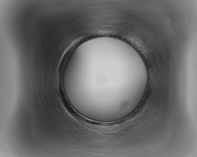X0000116440016200912081402