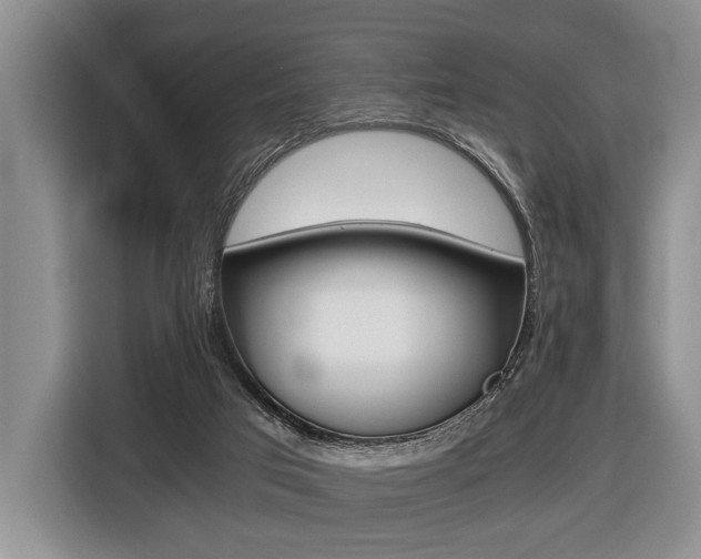 X0000116440017200912081402