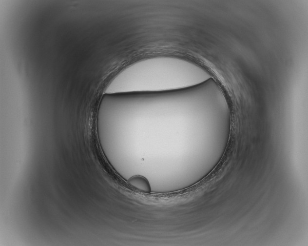 X0000116440018200912081402