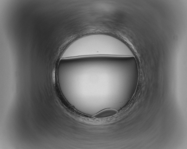 X0000116440019200912081402