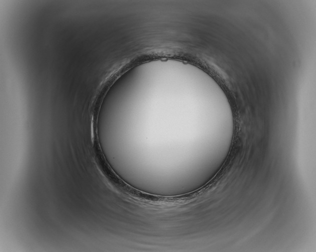 X0000116440020200912081402