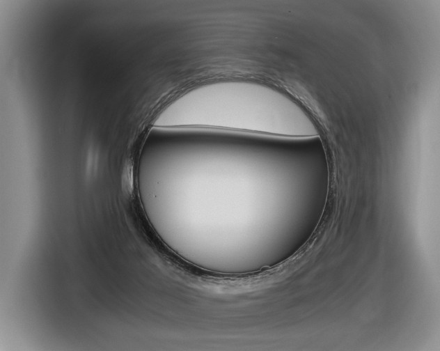 X0000116440021200912081402