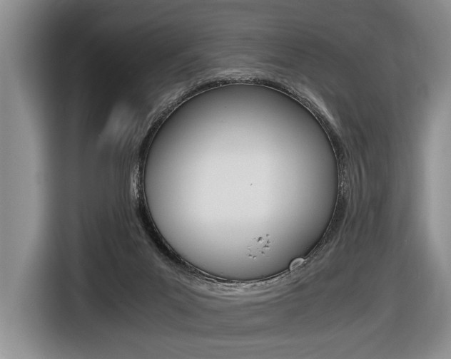 X0000116440023200912081402
