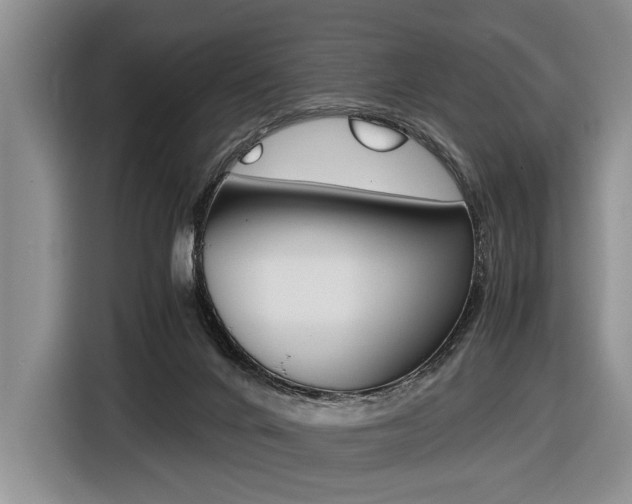 X0000116440024200912081402