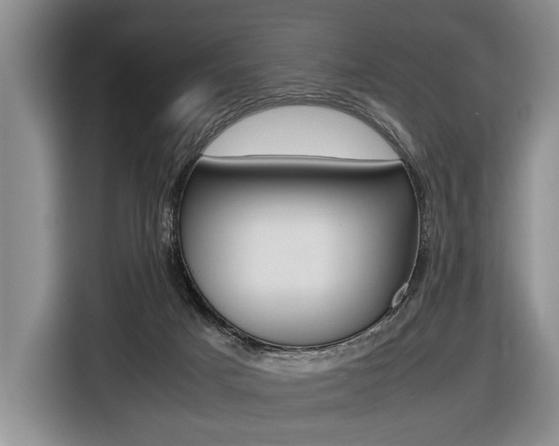 X0000116440025200912081402