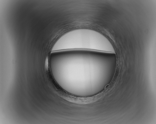 X0000116440027200912081402