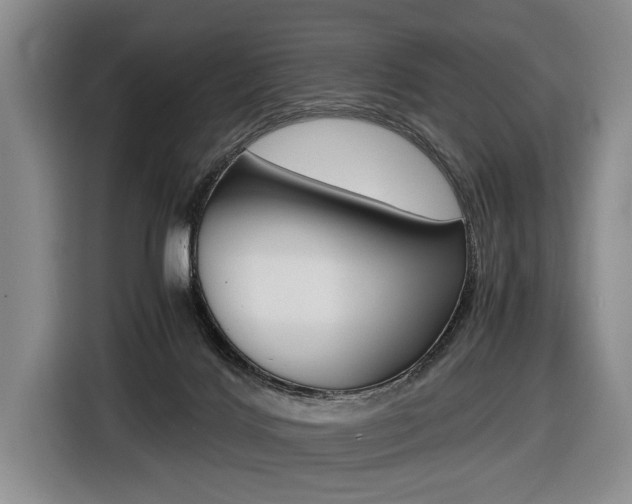 X0000116440028200912081402