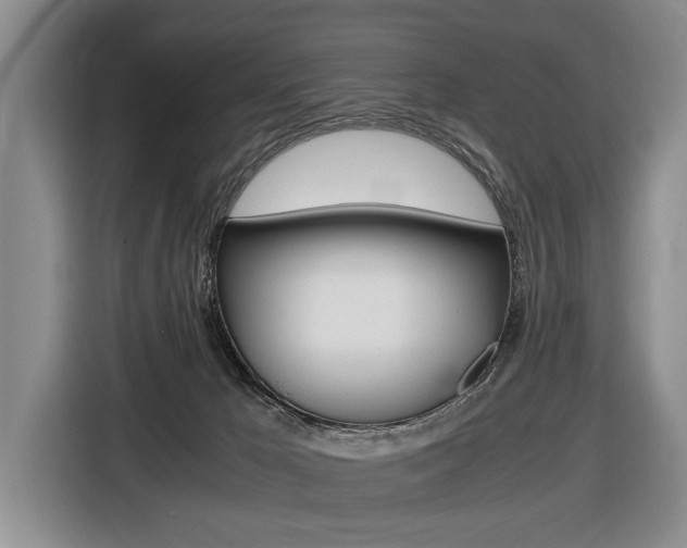 X0000116440029200912081402