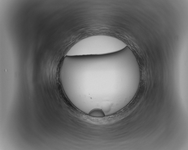X0000116440030200912081402