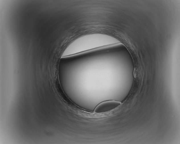 X0000116440031200912081402