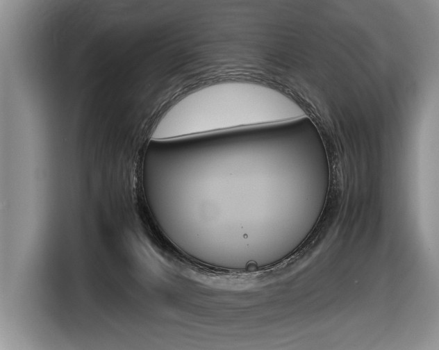 X0000116440032200912081402